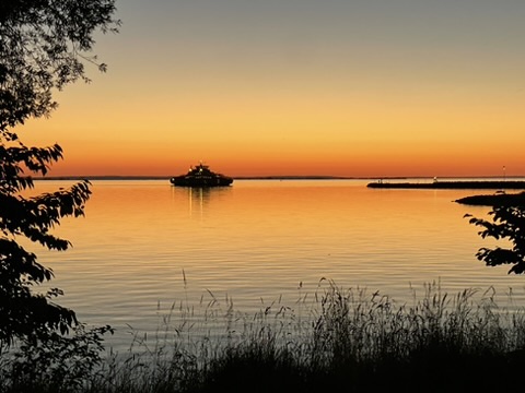 449793EF-C2E7-4E01-A709-0EAA07C5EE2E_4_5005_c